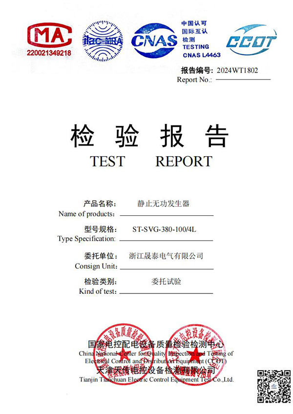 SVG检测报告2